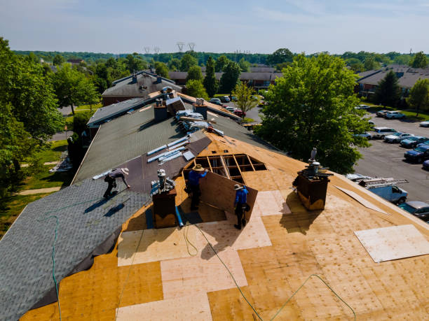 Trusted Roof Replacement service in Castro Valley, CA - Brentwood Metal Roofing